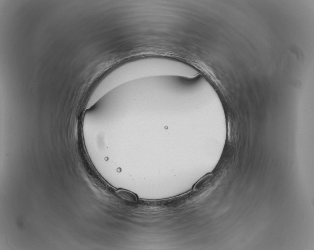 X0000111370205200908071221