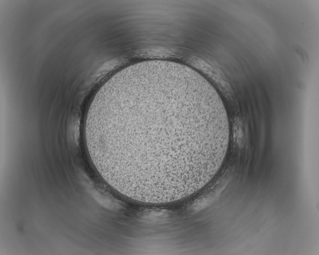 X0000111370206200908071221