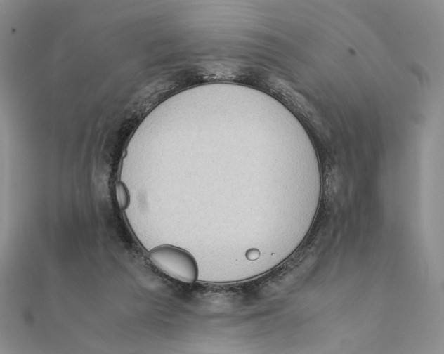 X0000111370209200908071221