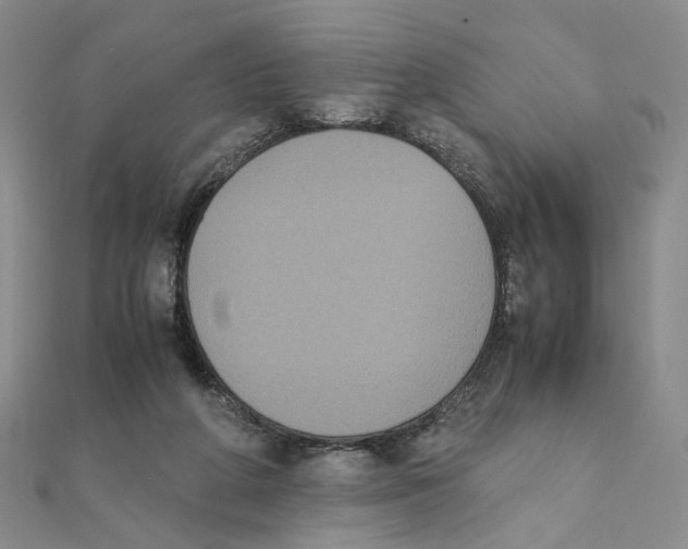 X0000111370210200908071221