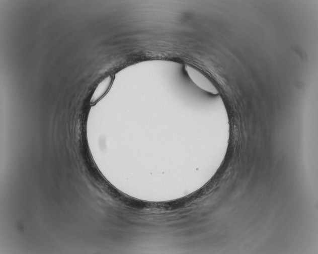 X0000111370211200908071221