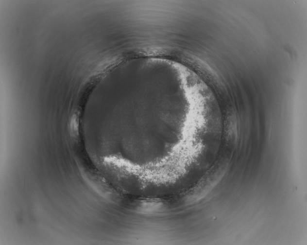 X0000111370214200908071221