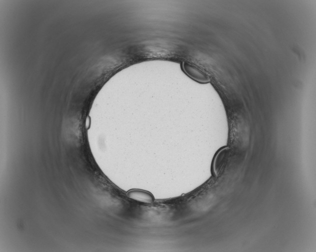 X0000111370215200908071221