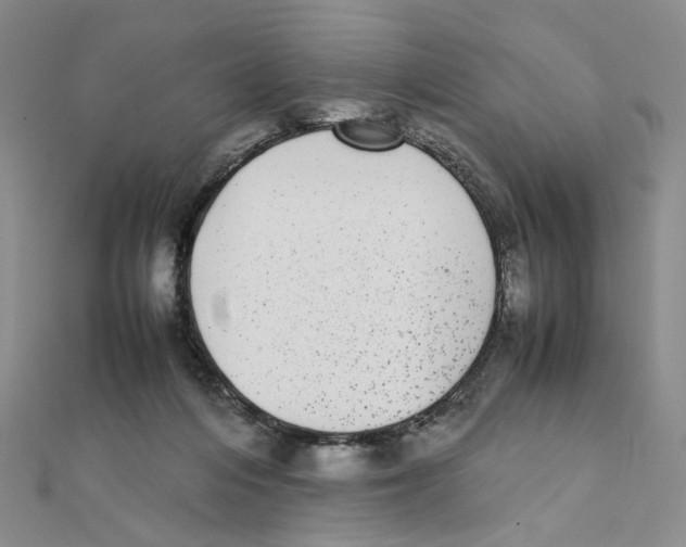 X0000111370216200908071221