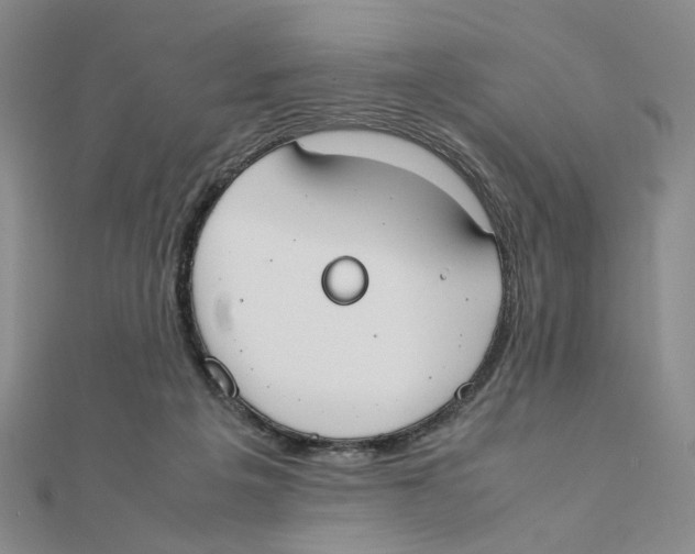 X0000111370217200908071221