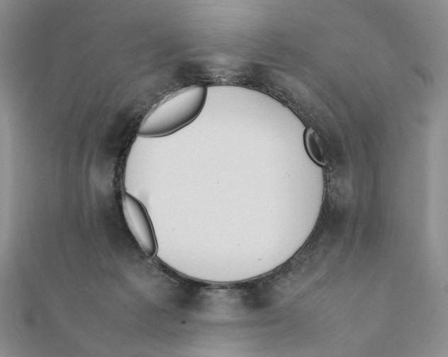 X0000111370221200908071221