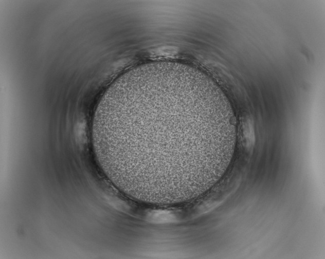 X0000111370224200908071221