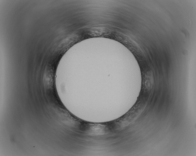 X0000111370226200908071221