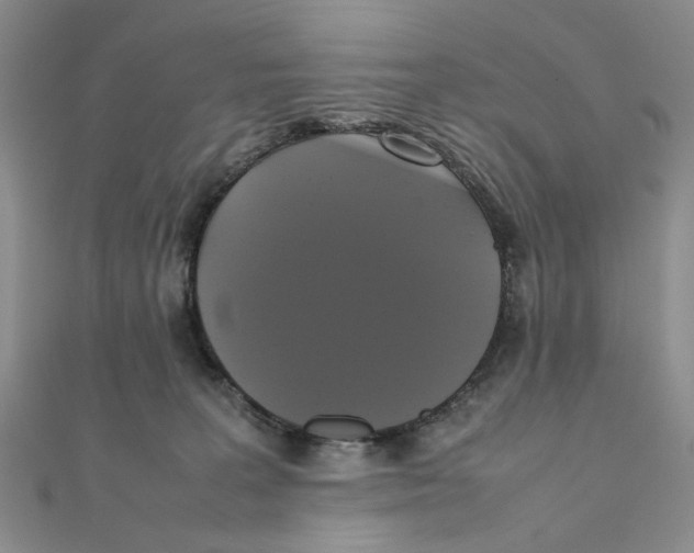 X0000111370227200908071221