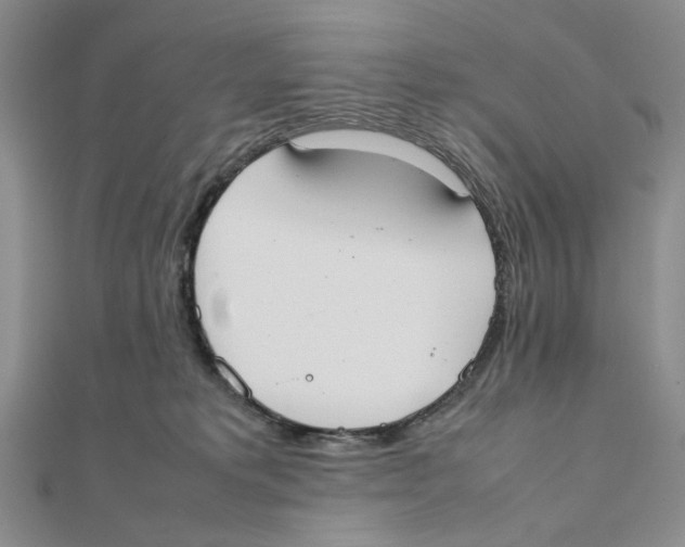 X0000111370229200908071221