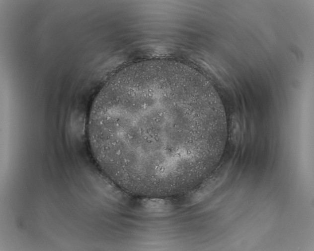 X0000111370230200908071221