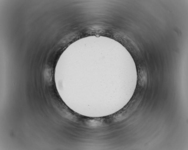 X0000111370232200908071221