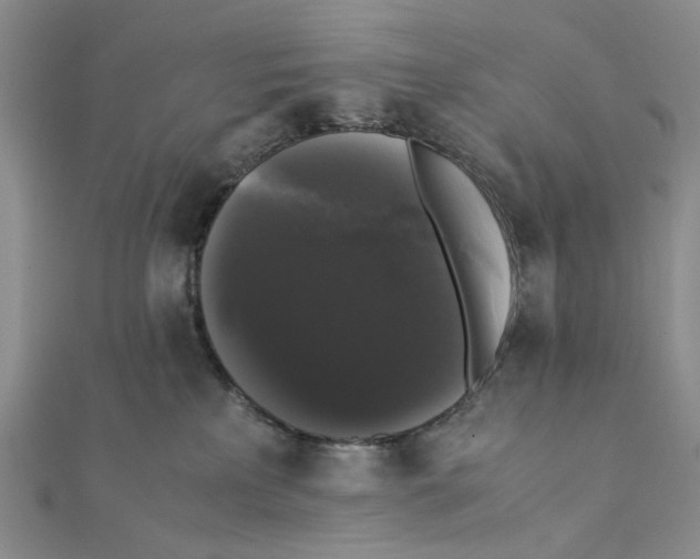 X0000111370233200908071221