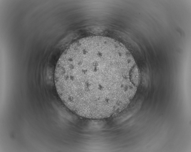 X0000111370234200908071221