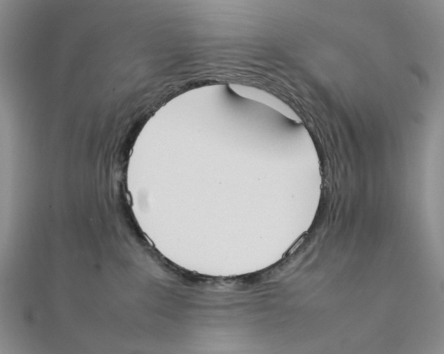 X0000111370235200908071221