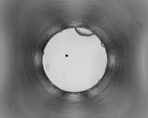 X0000111370236200908071221