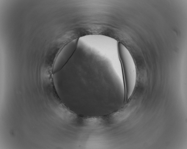 X0000111370237200908071221