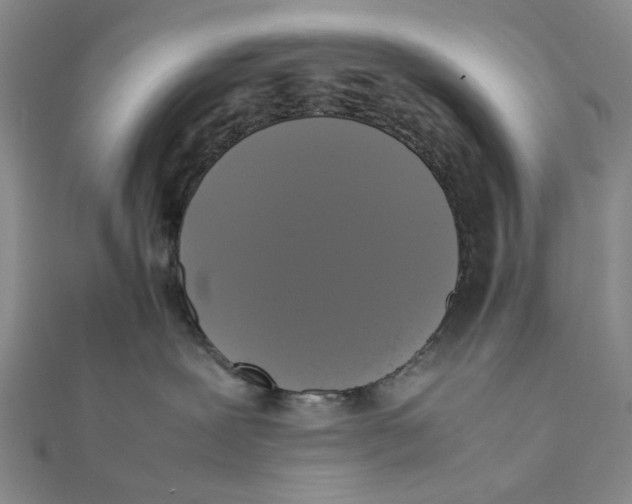 X0000111370239200908071220
