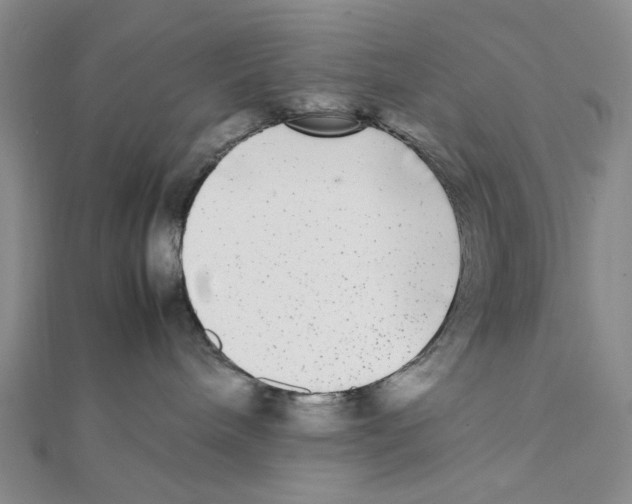 X0000111370240200908071220