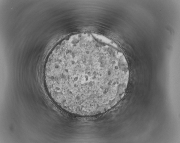 X0000111370241200908071220
