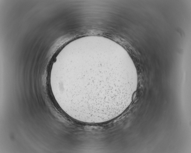 X0000111370242200908071220