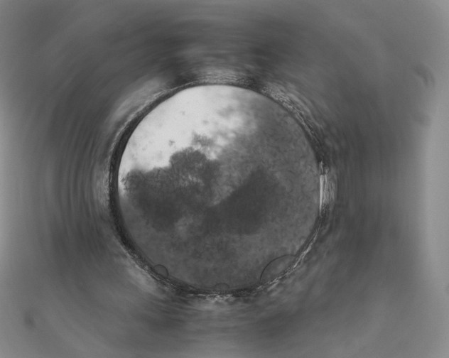 X0000111370243200908071220