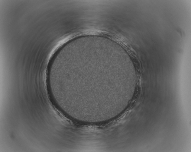 X0000111370244200908071220
