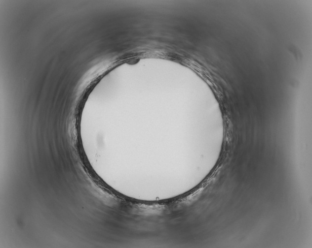 X0000111370245200908071220