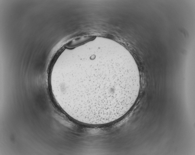 X0000111370246200908071220