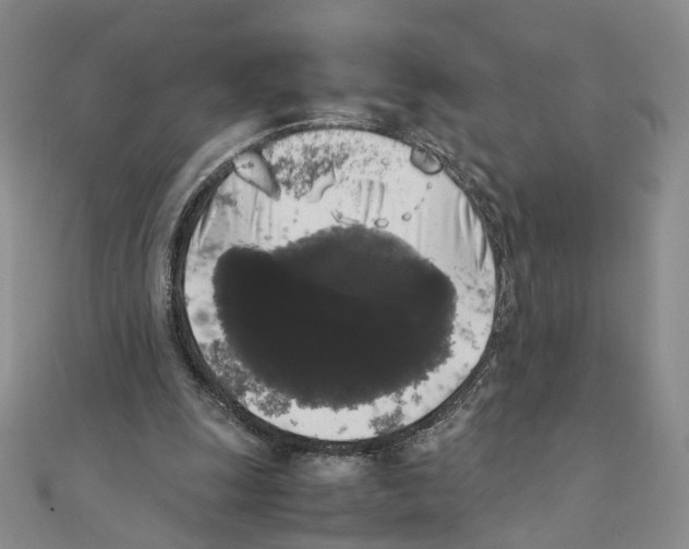 X0000111370247200908071220