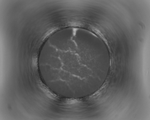 X0000111370249200908071220