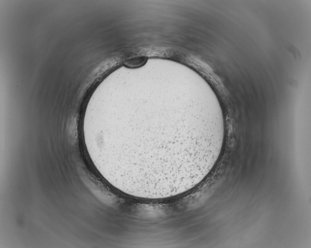 X0000111370250200908071220