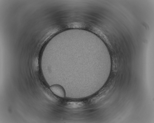 X0000111370251200908071220