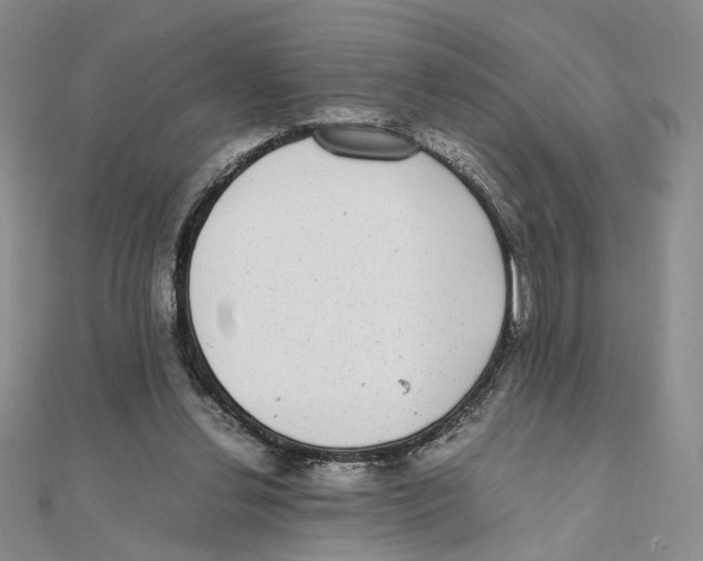 X0000111370252200908071220