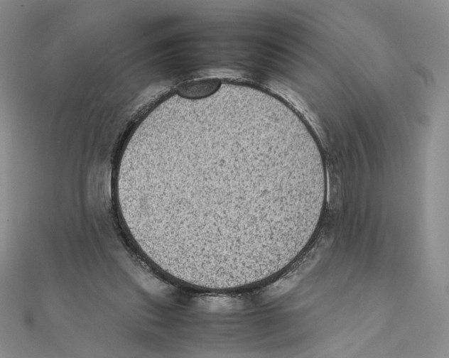X0000111370253200908071220