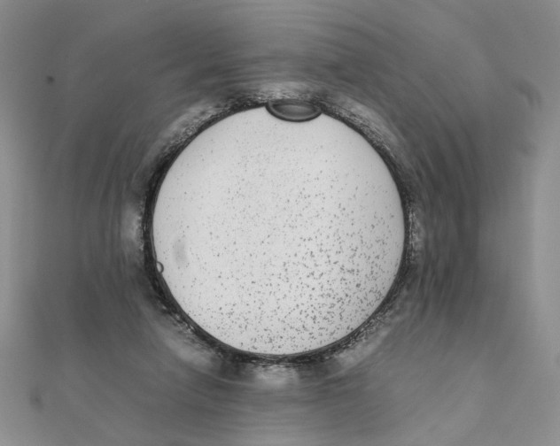 X0000111370258200908071220