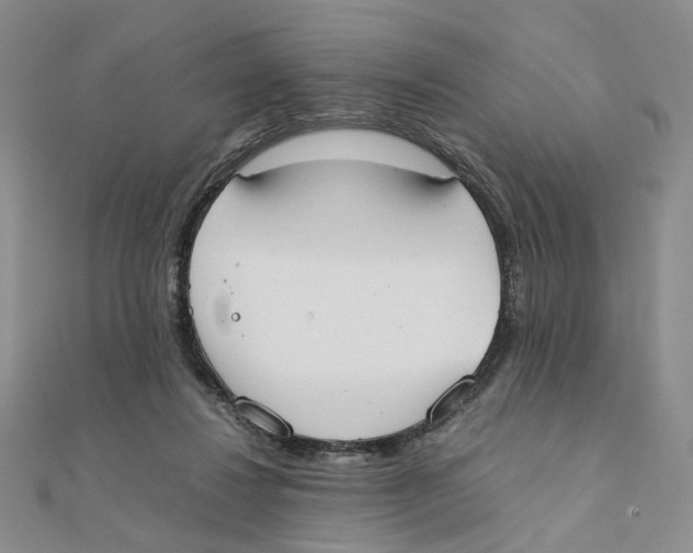 X0000111370260200908071220