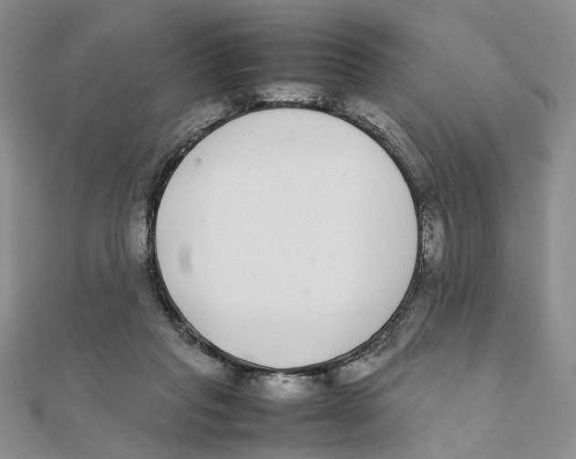 X0000111370261200908071220