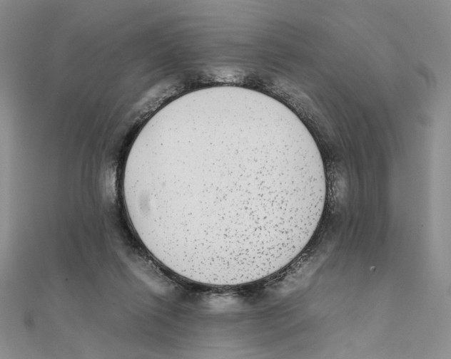 X0000111370262200908071220