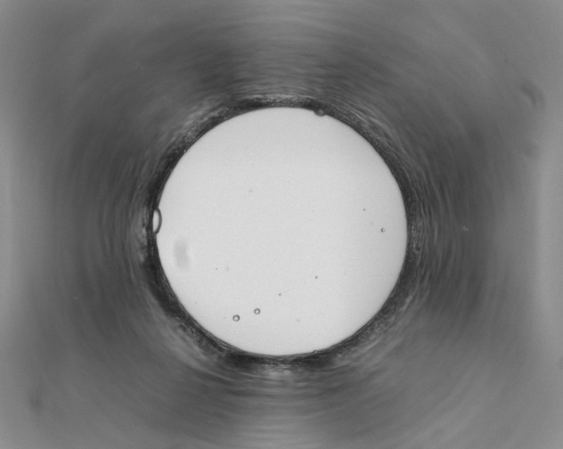 X0000111370264200908071220