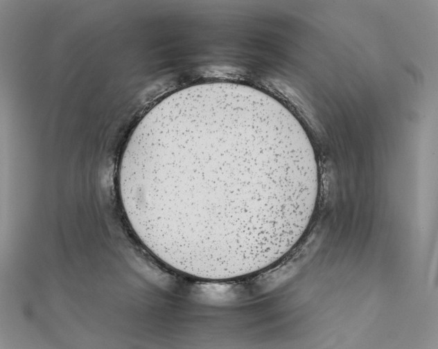X0000111370265200908071220