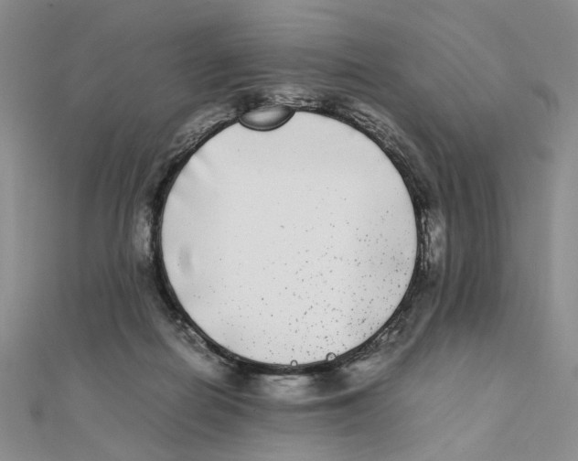 X0000111370266200908071220