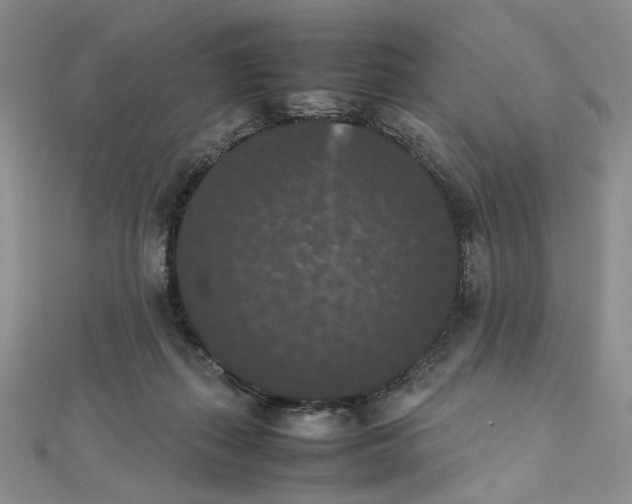 X0000111370267200908071220