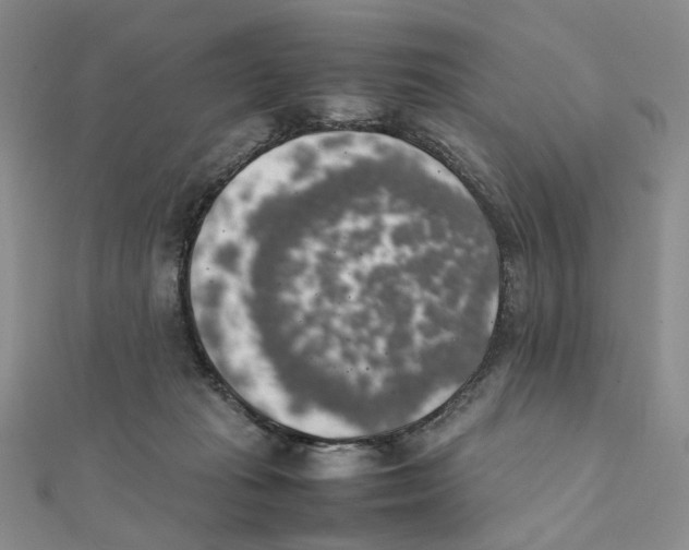 X0000111370269200908071220