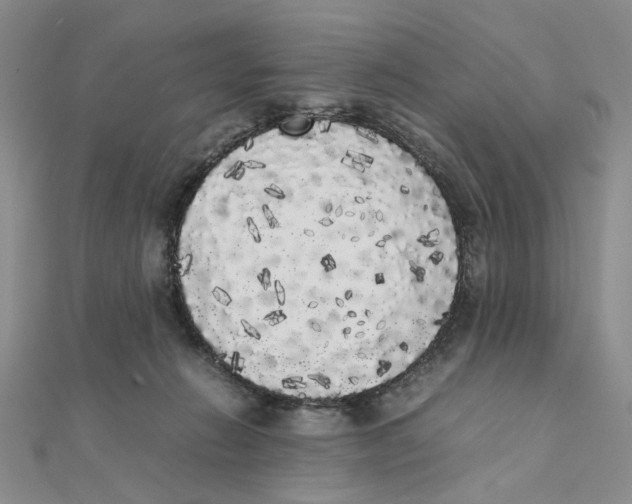 X0000111370270200908071220