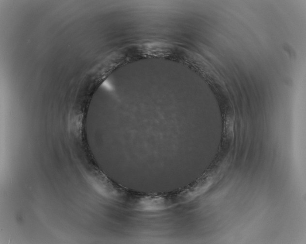 X0000111370271200908071220