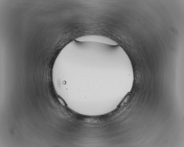 X0000111370272200908071220