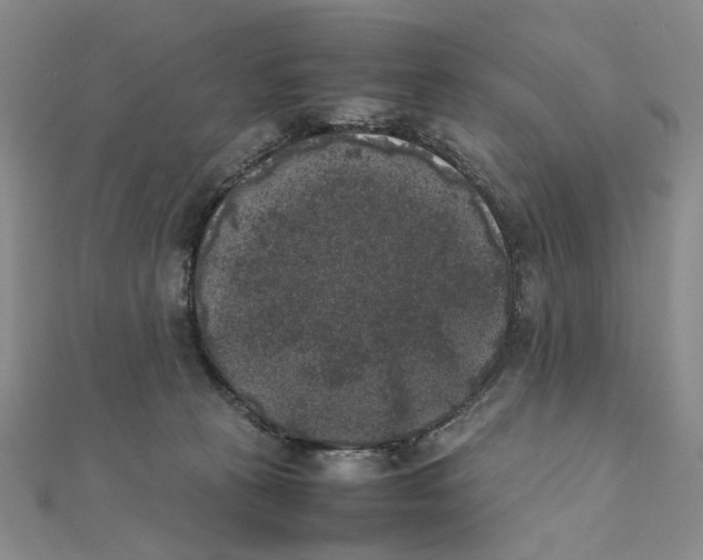 X0000111370273200908071220