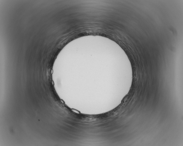 X0000111370276200908071220