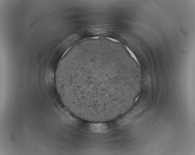X0000111370281200908071220